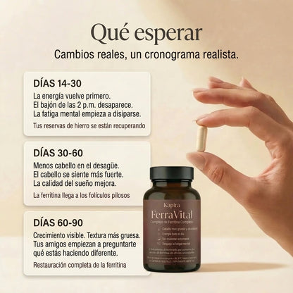 FerraVital™ | Complejo de Apoyo a la Ferritina
